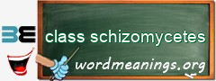 WordMeaning blackboard for class schizomycetes